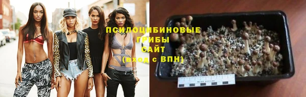 дурь Алексеевка