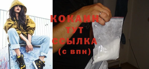 шишки Абинск