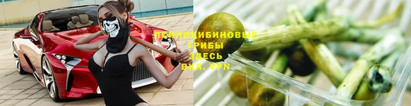 эйфоретик Алзамай