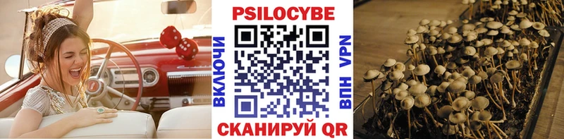 Псилоцибиновые грибы Psilocybe  Астрахань 