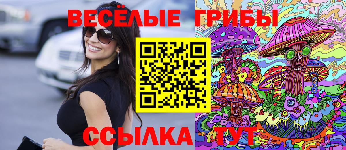 Галлюциногенные грибы Psilocybe  Галлюциногенные грибы Cubensis  наркотики  Астрахань  Вход с VPN 